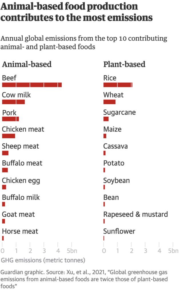 Guardian graphic. Source: Xu, et al., 2021, “Global greenhouse gas emissions from animal-based foods are twice those of plant-based foods”